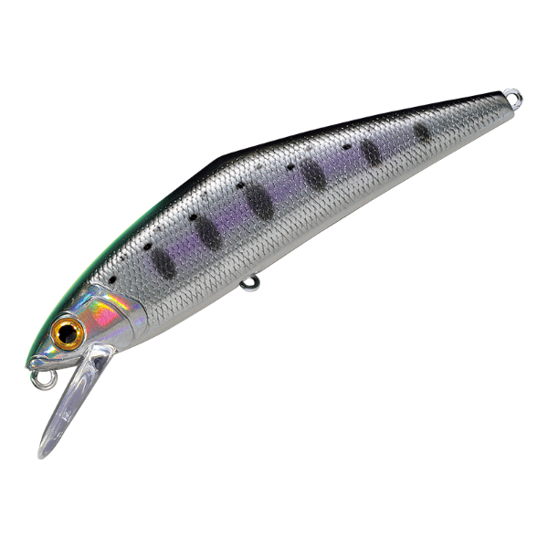 D-コンタクト 85 アワビ(53 クロギンチャートヤマメ)
